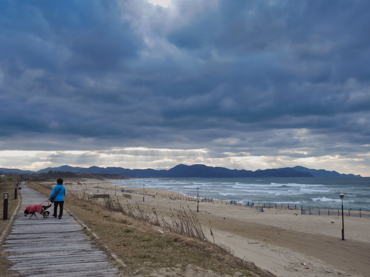 投稿写真：晩秋の日本海