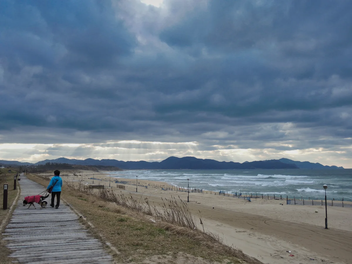 投稿写真：晩秋の日本海