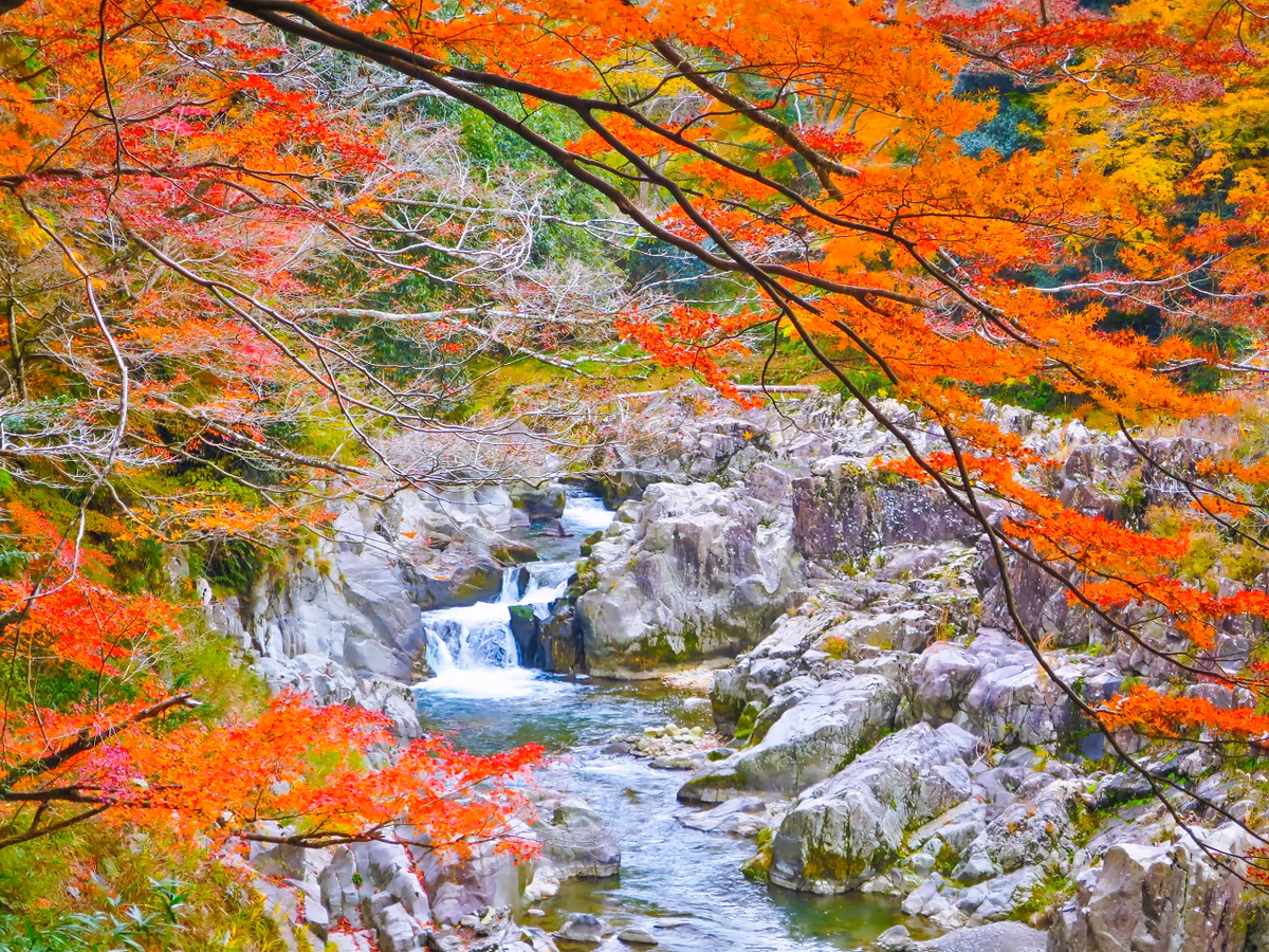 投稿写真：紅葉の大蛇ヶ淵