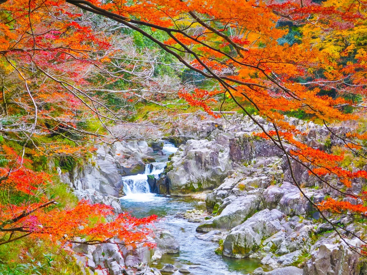 投稿写真：紅葉の大蛇ヶ淵