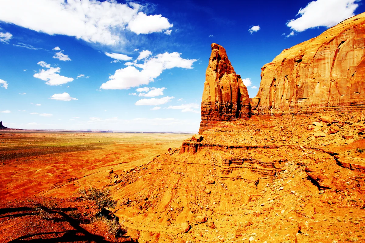 OREGO Kotomiさんの投稿写真