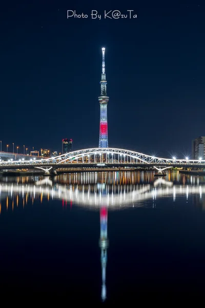 投稿：日本国旗をイメージした正月限定ライトアップ