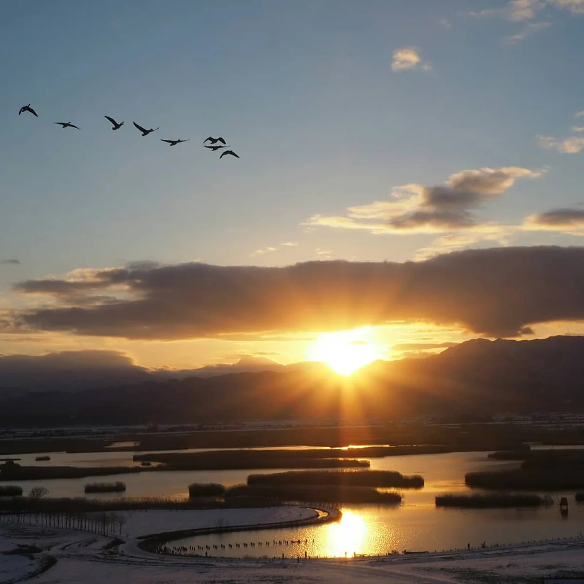 投稿写真：2019年元旦、初日の出