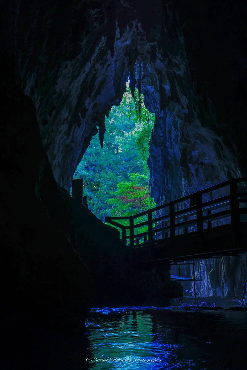 投稿写真：天然の造形美