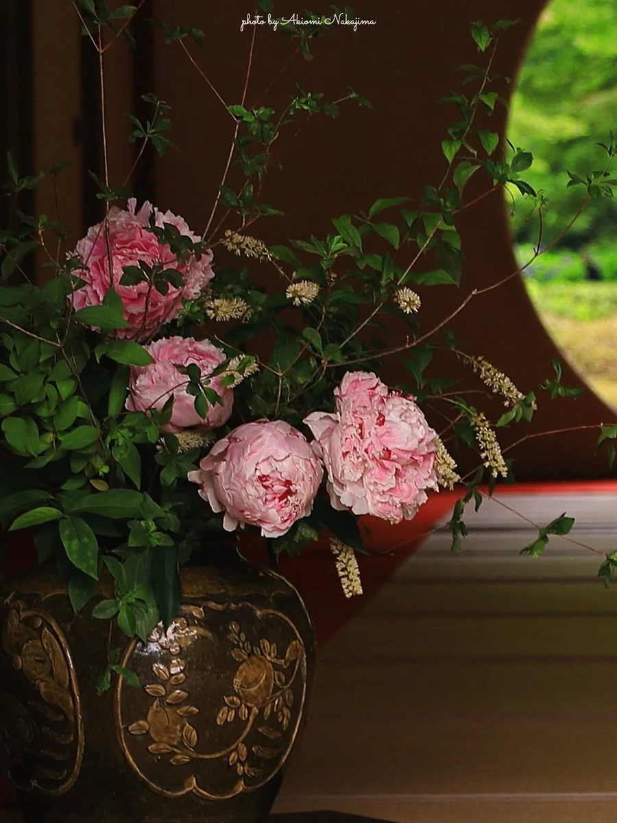 投稿写真：明月院本堂