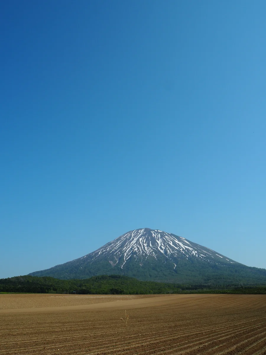 投稿写真：蝦夷富士