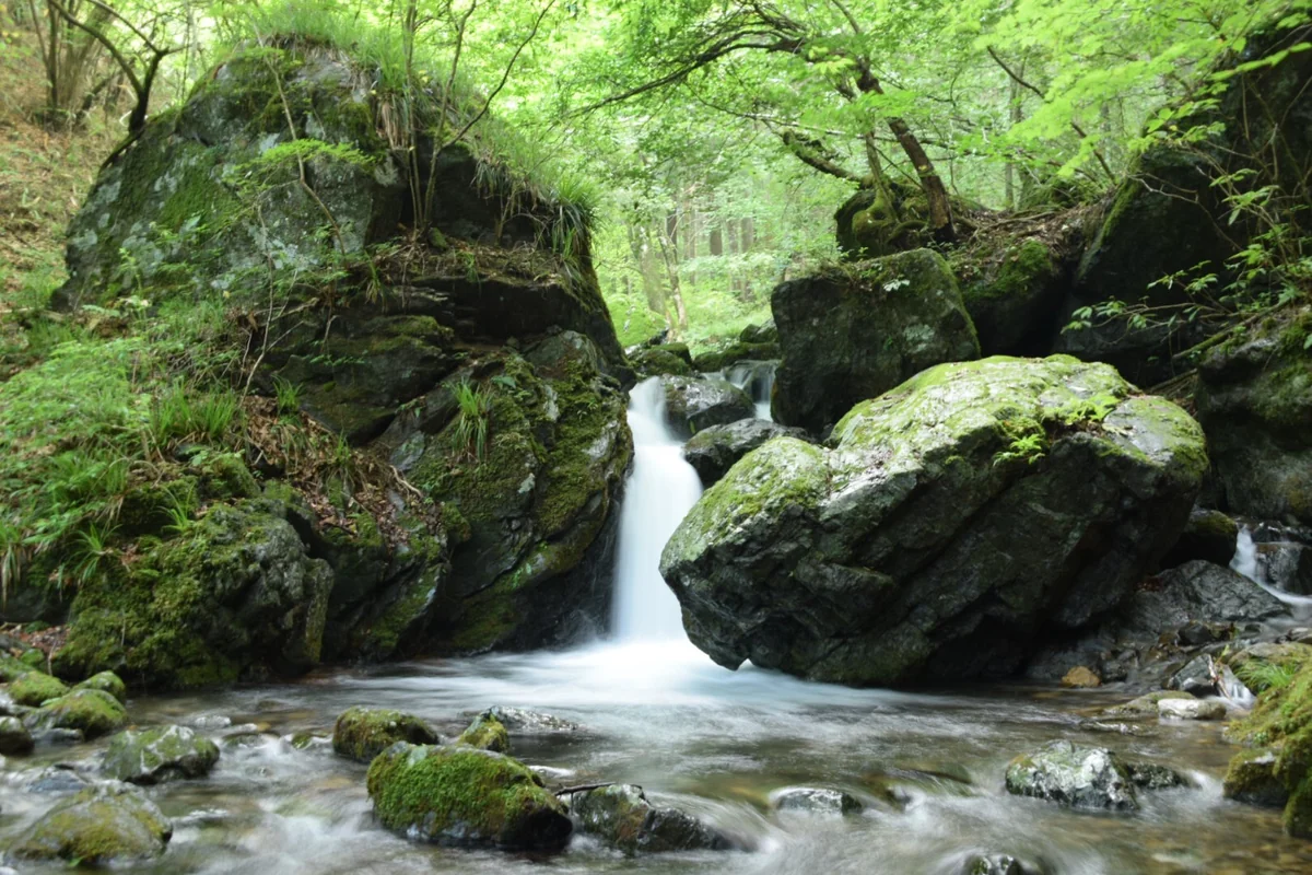 投稿写真：奥多摩の避暑地