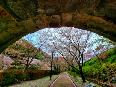  | 絶景事典