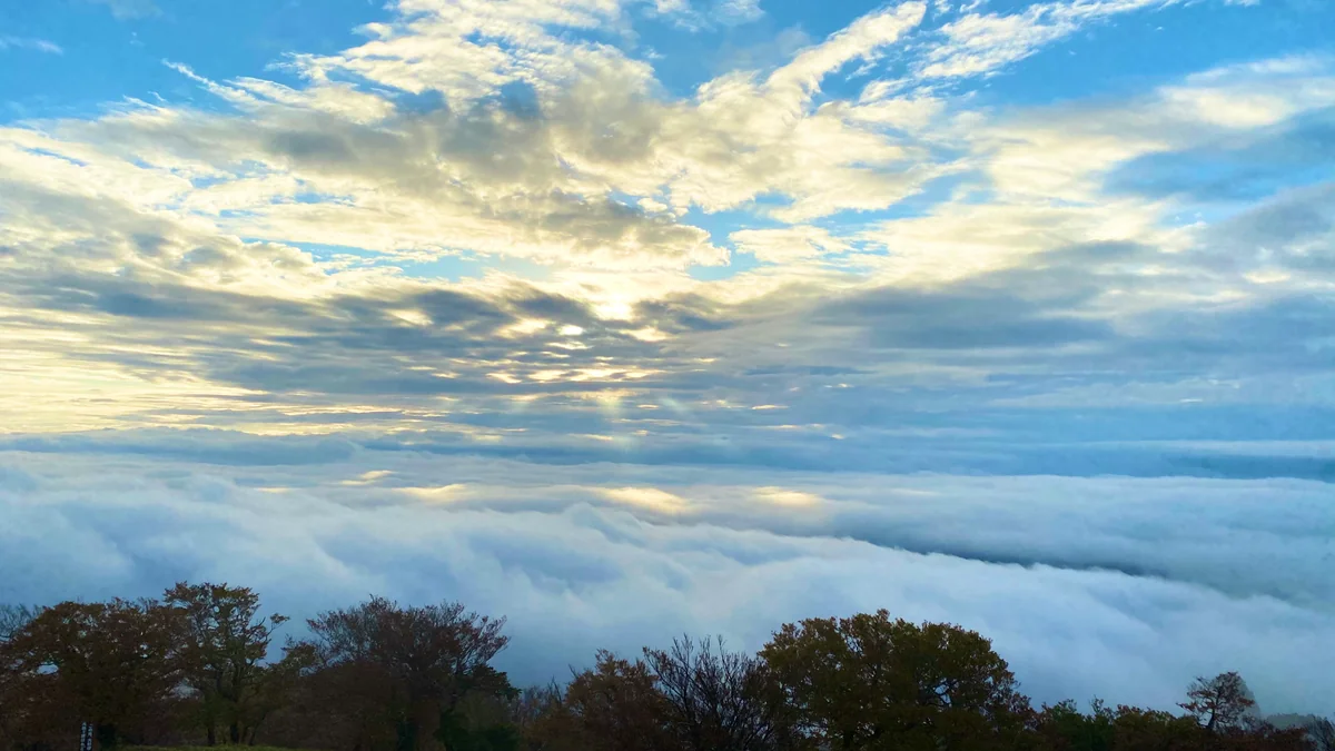 K Satine Jpさんの投稿写真