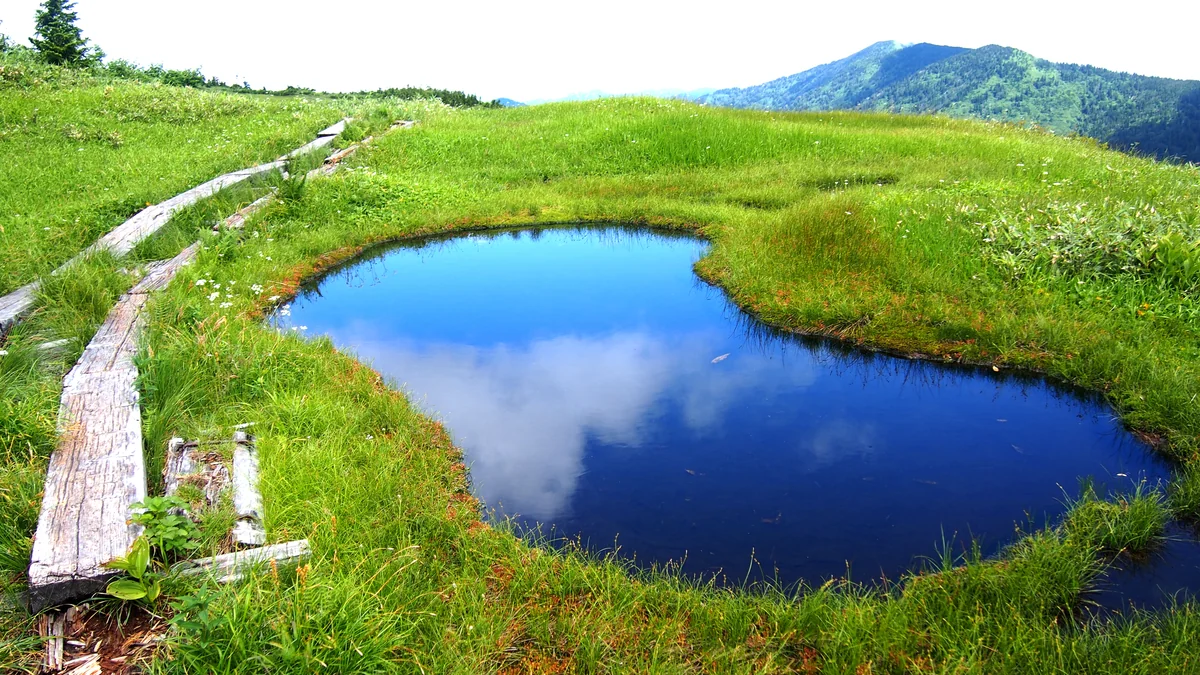 投稿写真：雲上の天国
