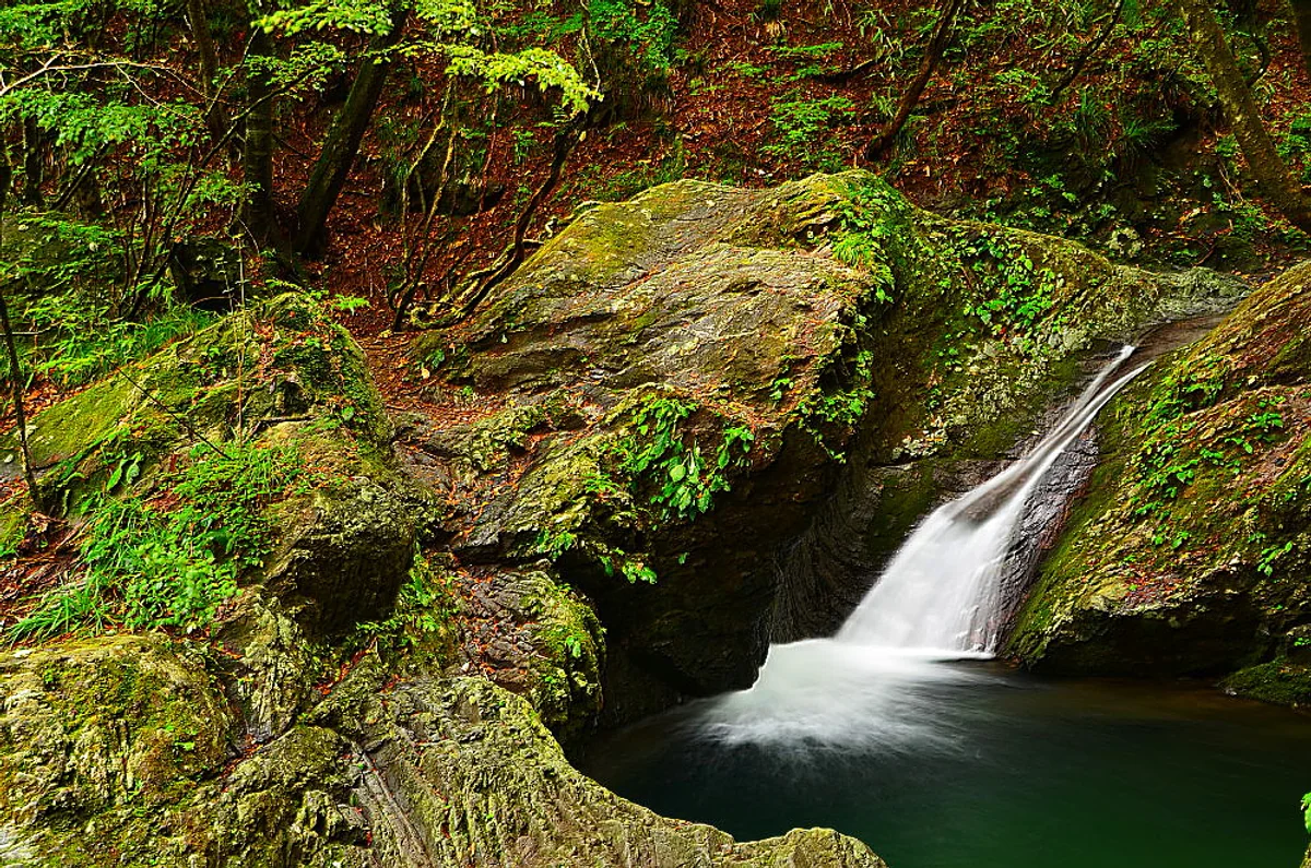 投稿写真：奥多摩　清い水の流れ