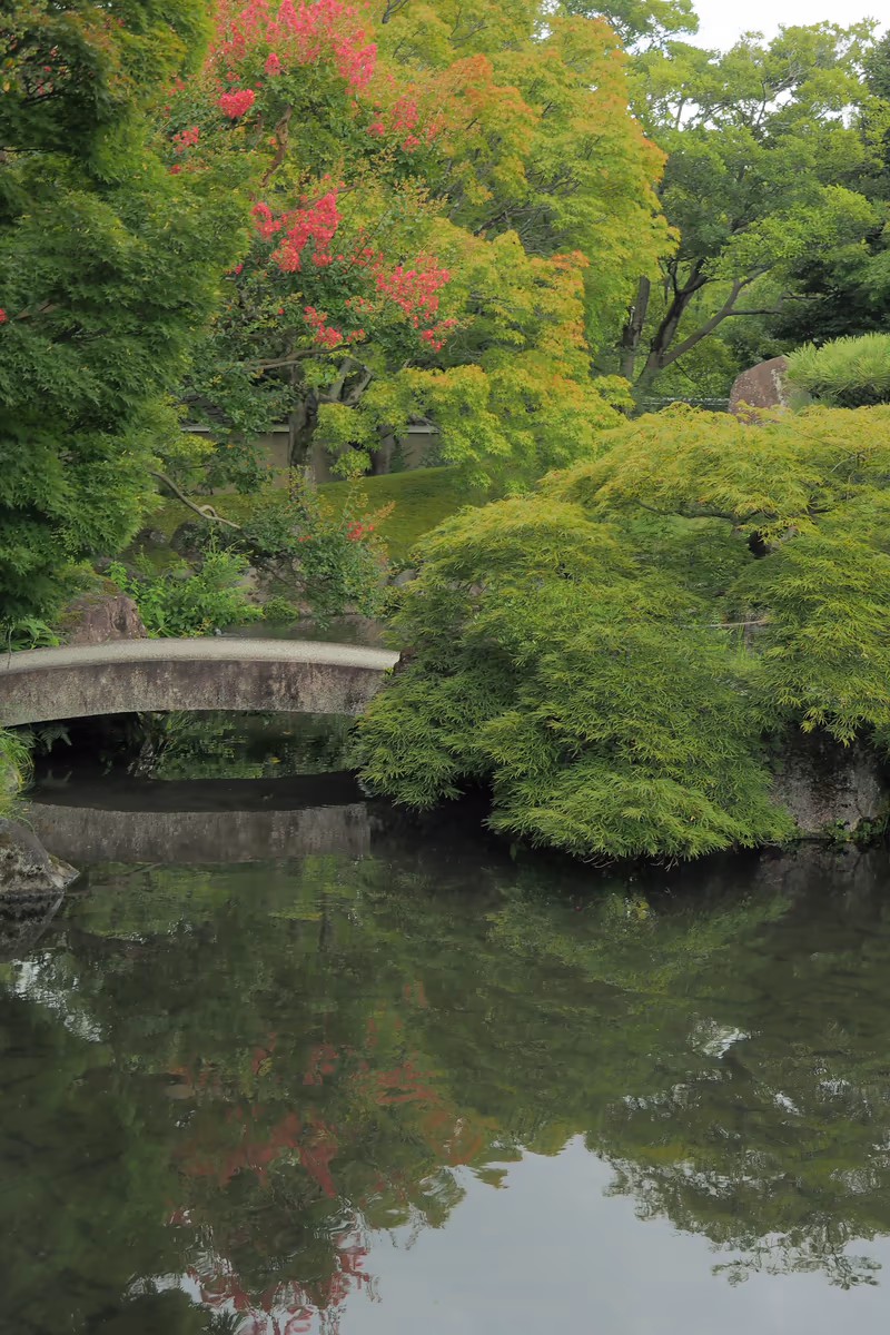 投稿写真：好古園　夏の庭