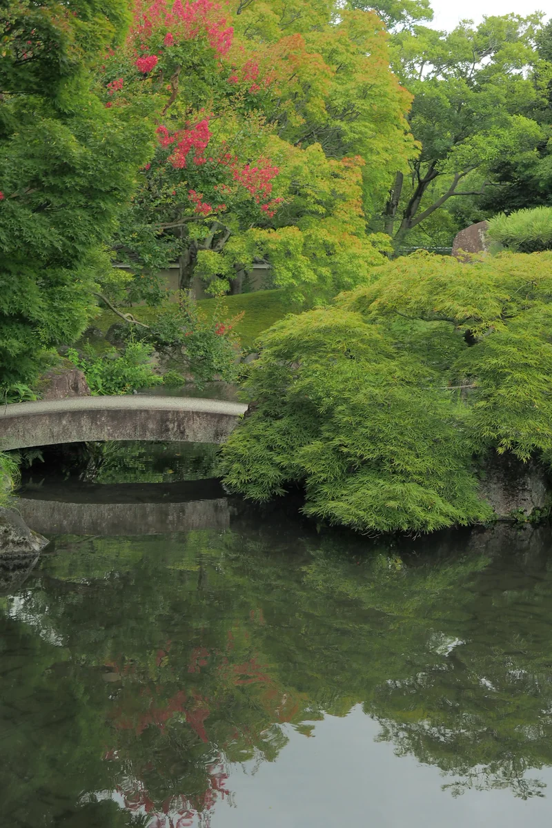 投稿写真：好古園　夏の庭