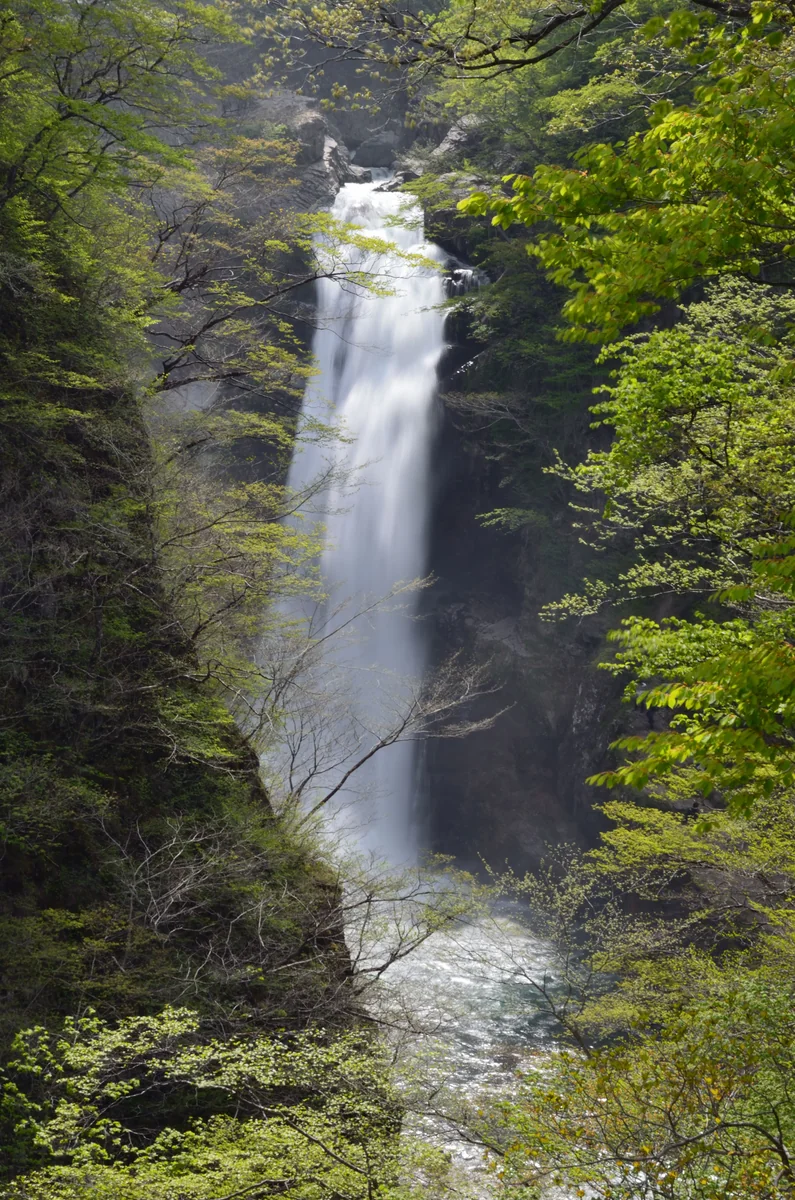 投稿写真：秋保の大滝