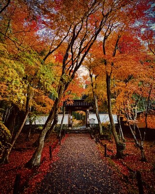  | 絶景事典