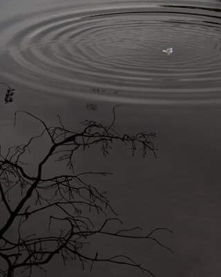  | 絶景事典