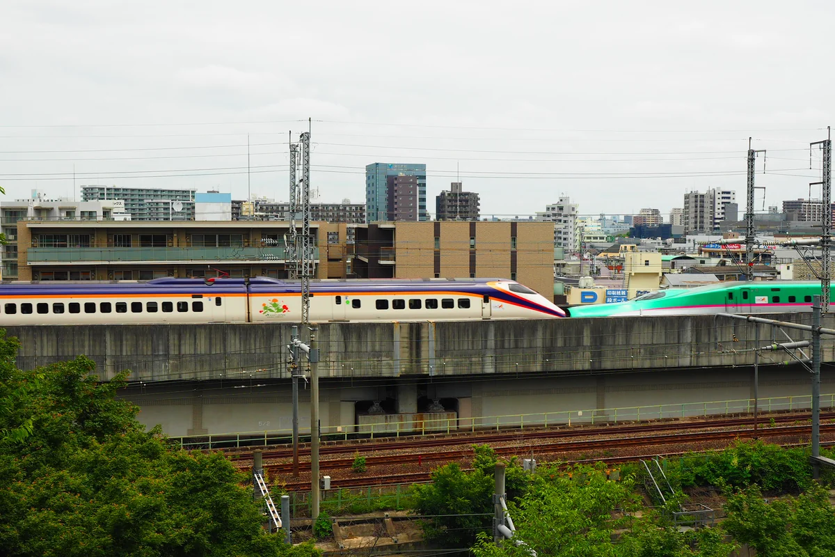投稿写真：飛鳥山公園より