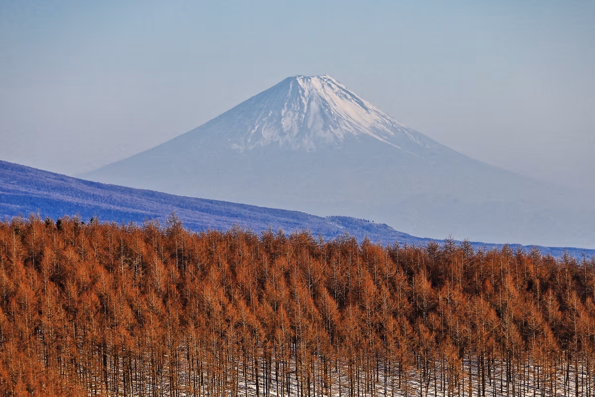 投稿写真：小春日和