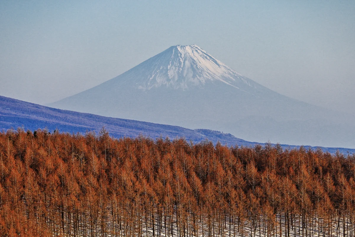 投稿写真：小春日和