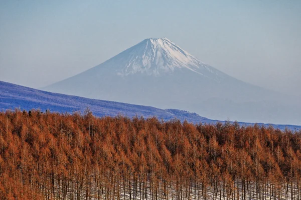 投稿：小春日和