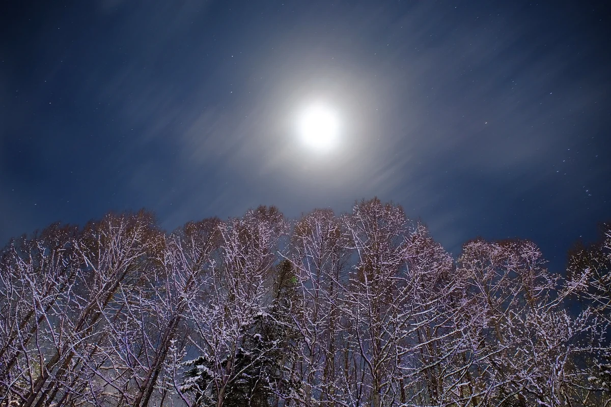 投稿写真：月光