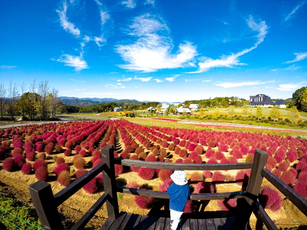 投稿：牧歌の里
