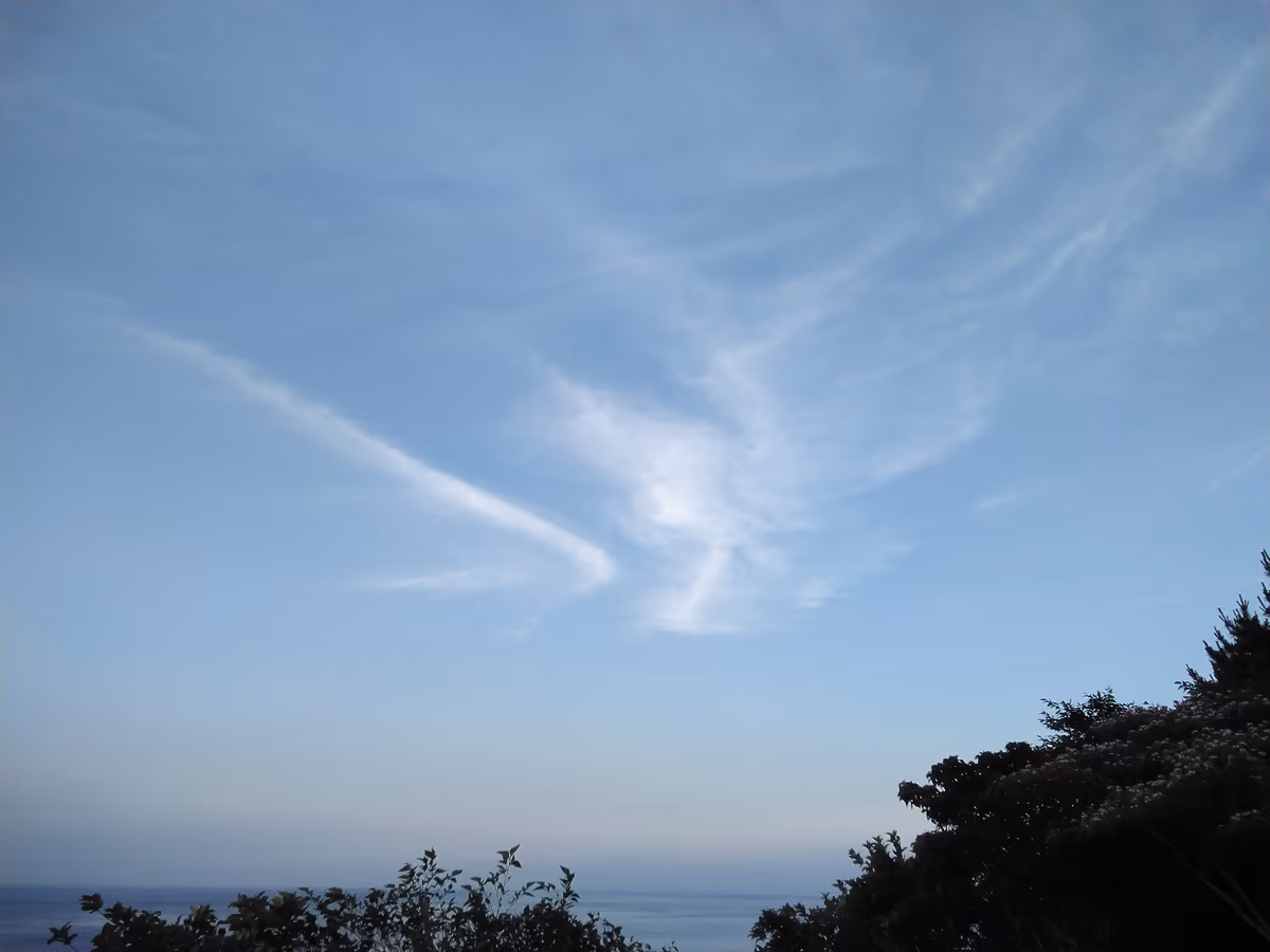 投稿写真：雲