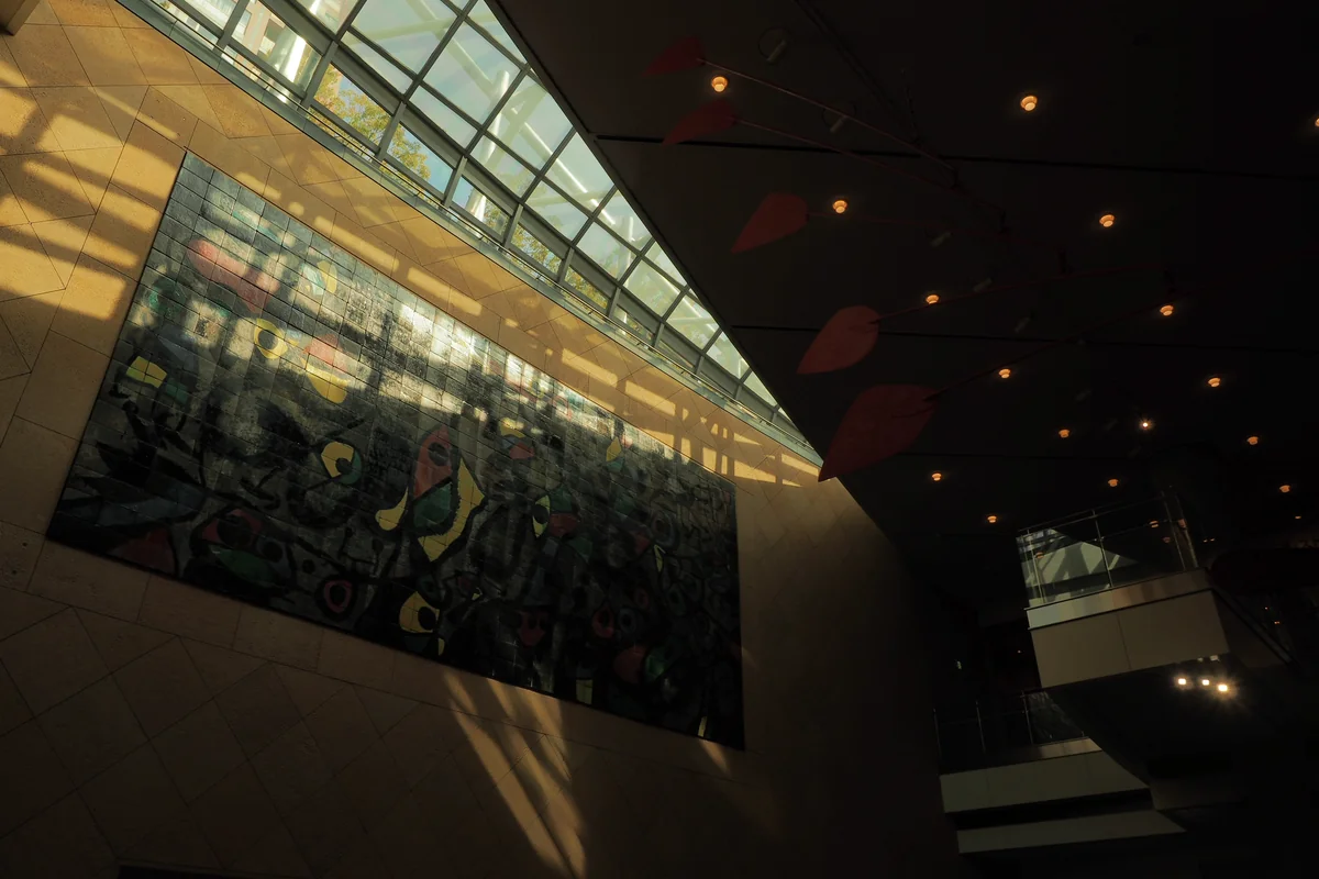 投稿写真：日の光