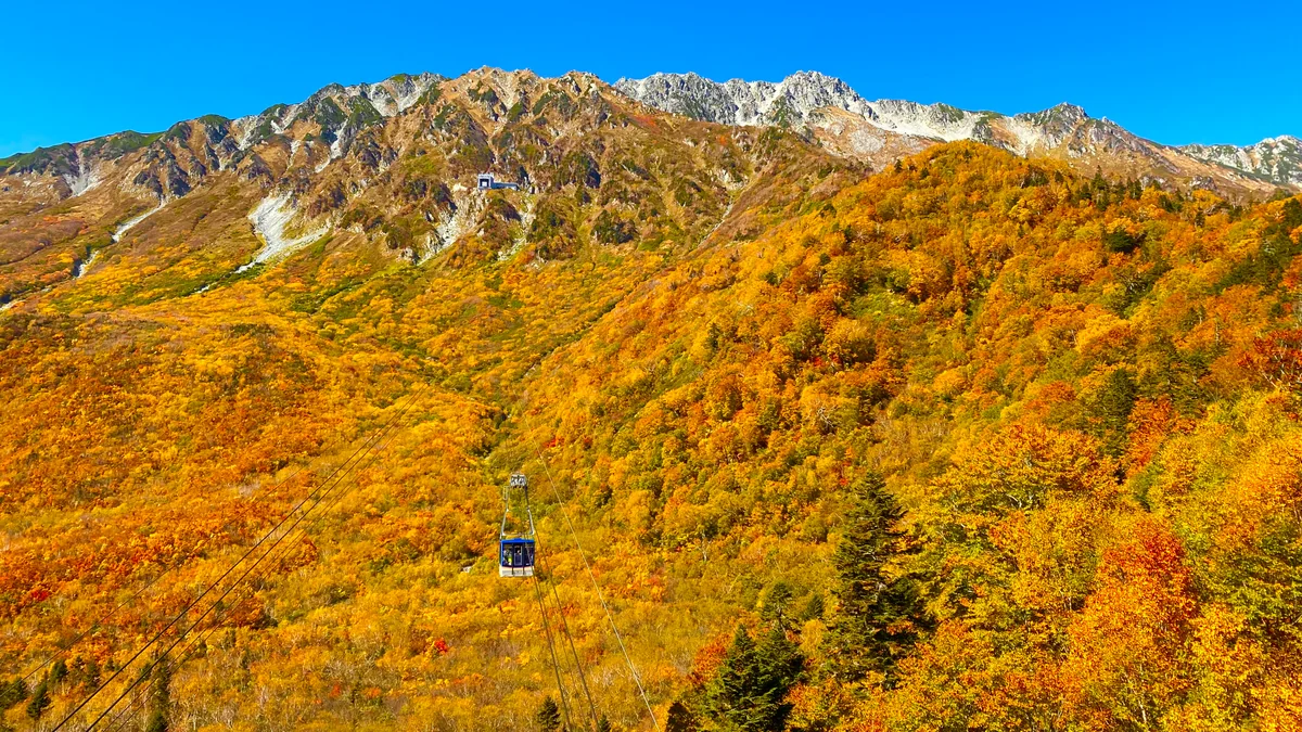 投稿写真：黒部の秋