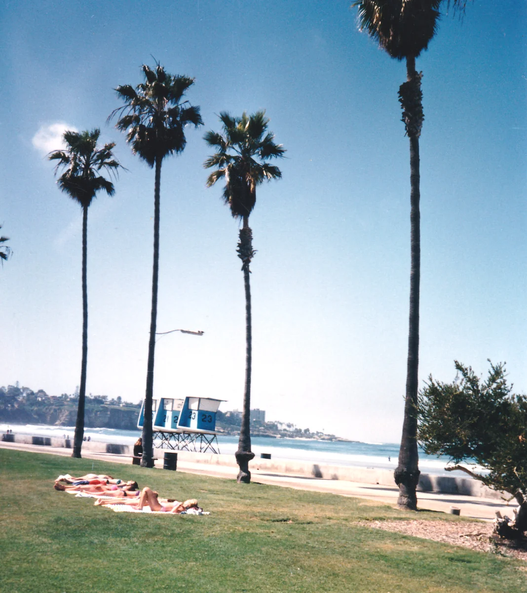 投稿写真：サンディエゴのラ・ホヤ・ショア・ビーチで日焼けする女の子達