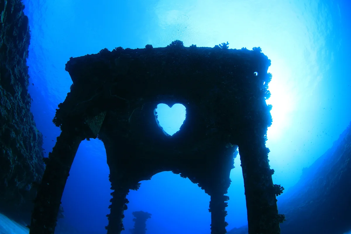 投稿写真：ハート