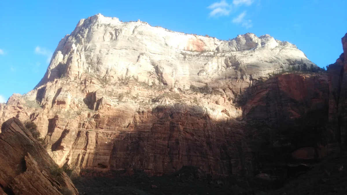 投稿写真：ザ・グレート・ホワイト・クローン