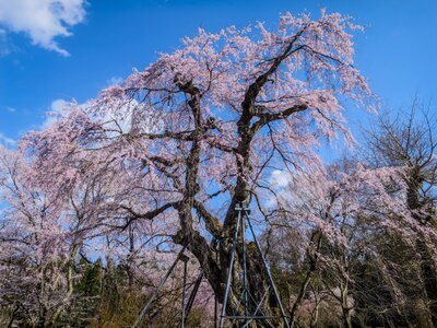  | 絶景事典