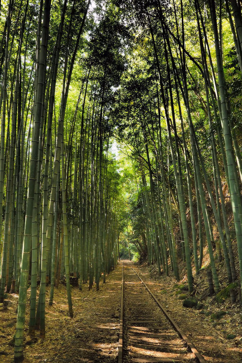 投稿写真：旧国鉄倉吉線跡