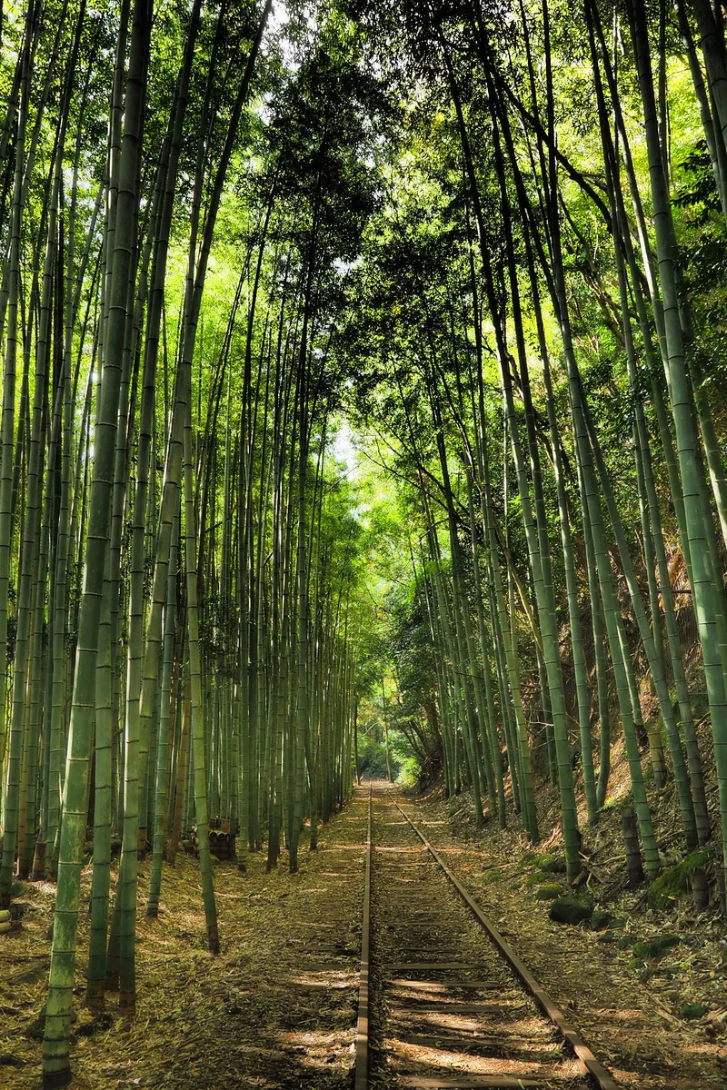投稿写真：旧国鉄倉吉線跡