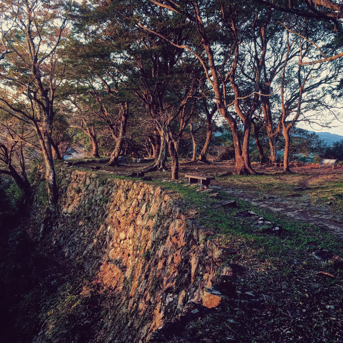 投稿写真：佐伯城