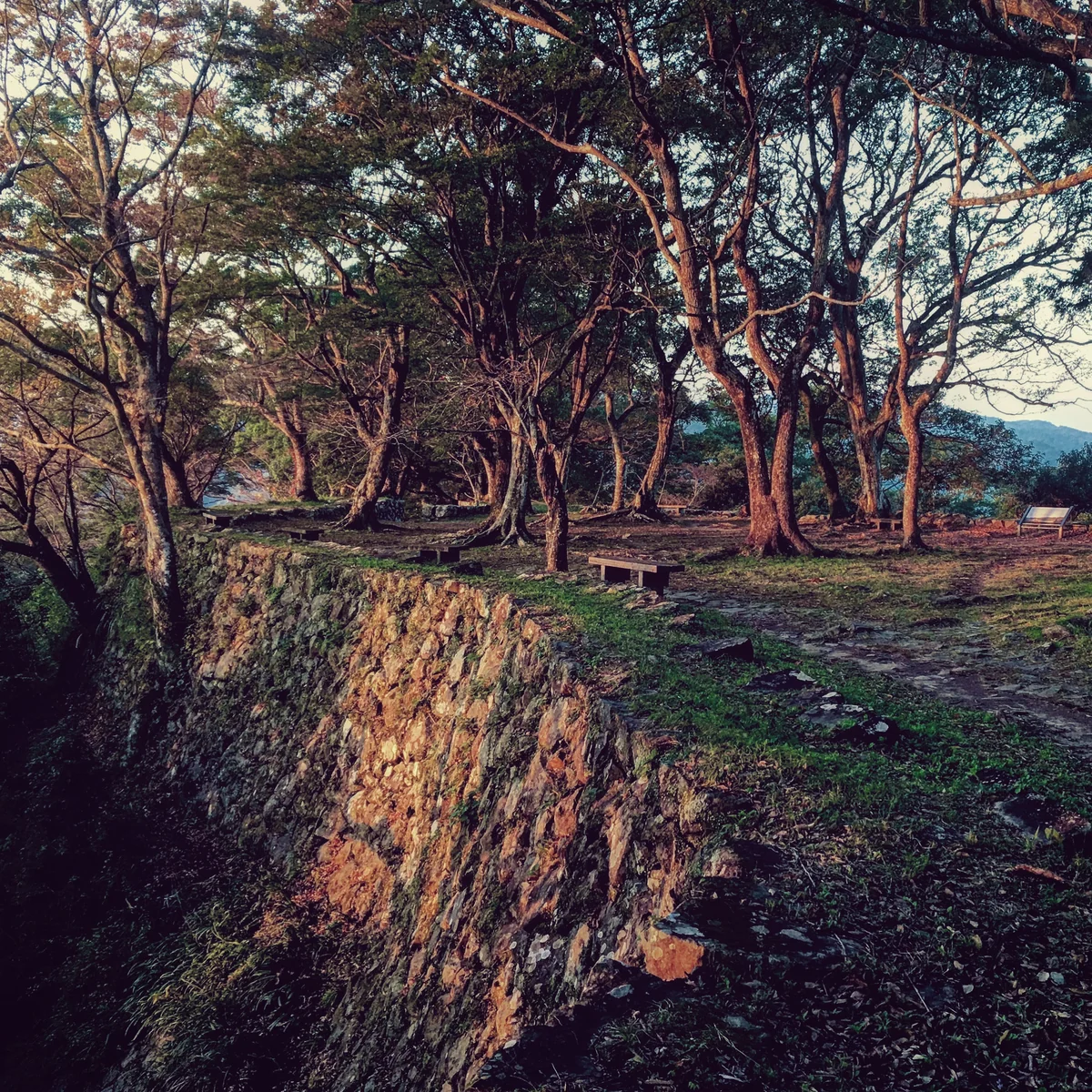 投稿写真：佐伯城