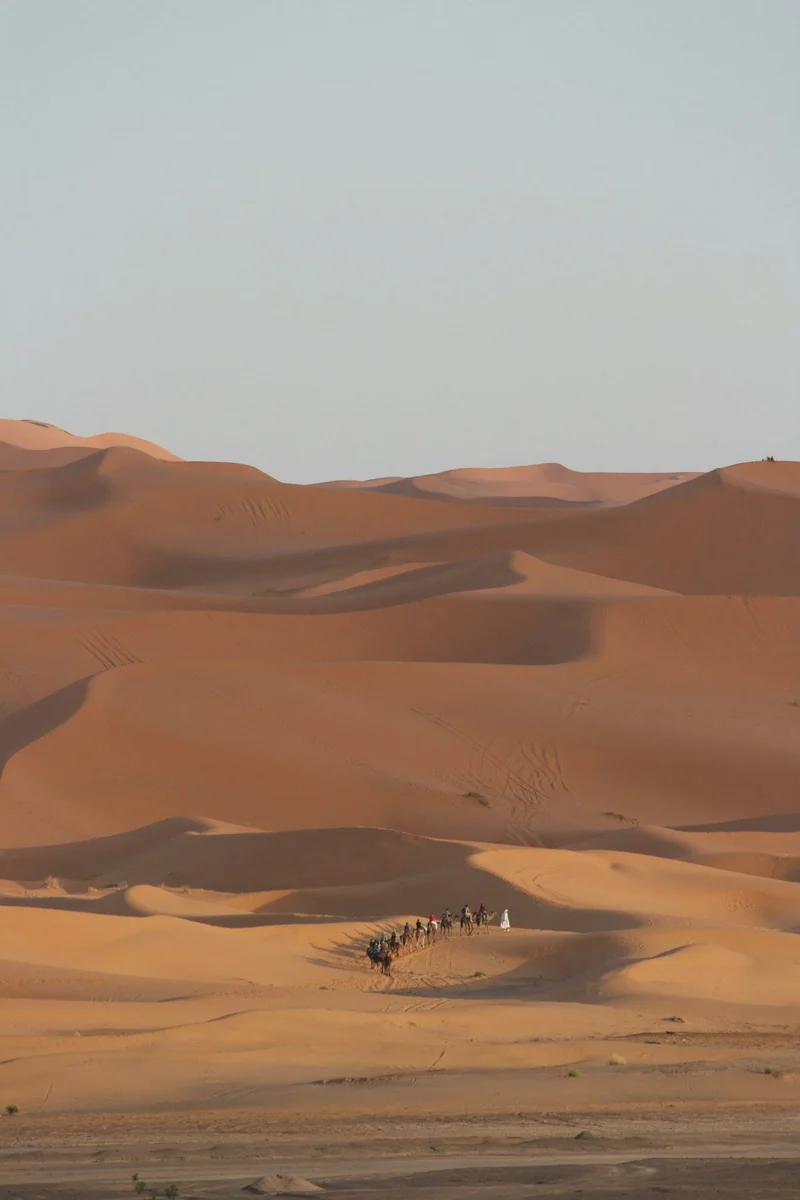 mattさんの投稿写真