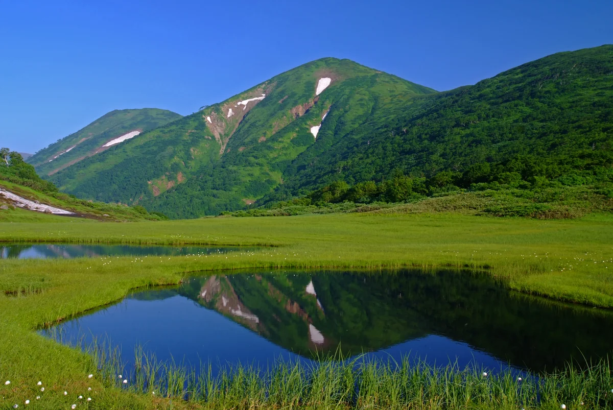 投稿写真：天狗の庭、風と野鳥の声のみ