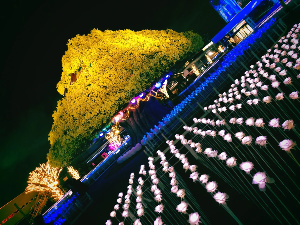 Nさんの投稿写真