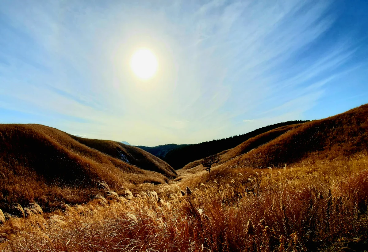 投稿写真：国造神社から登ってきた道