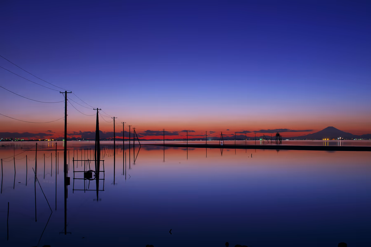 投稿写真：海上電柱