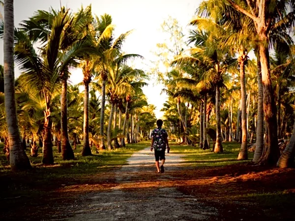 投稿：千本椰子