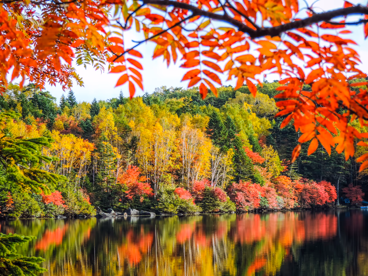 投稿写真：初紅葉