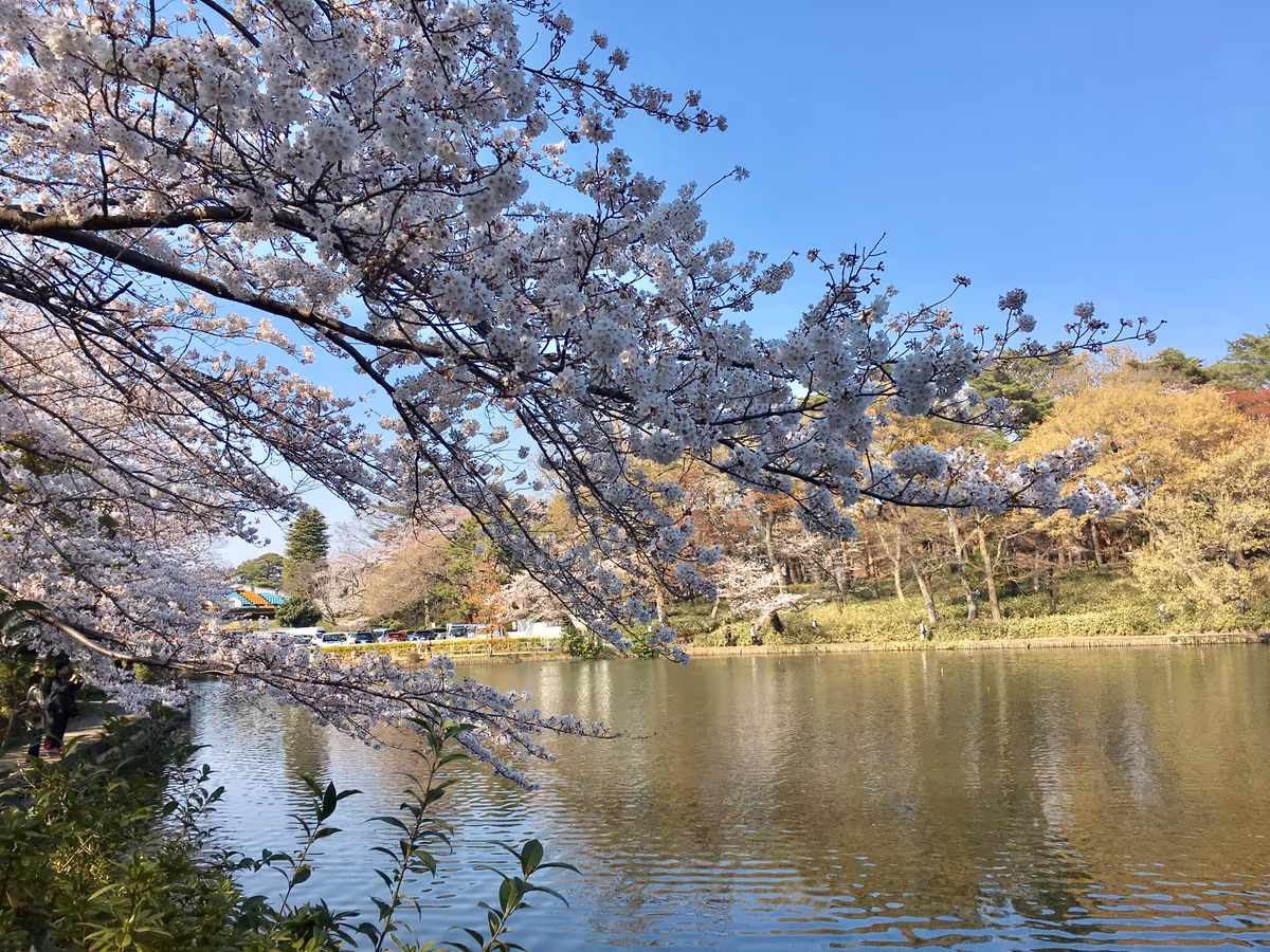 投稿写真：さいたま市 大宮公園