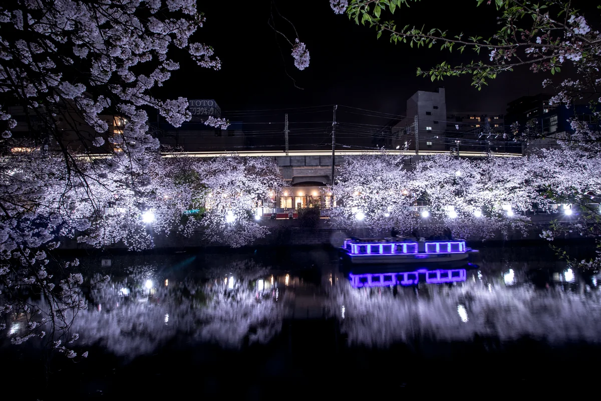 ゆうちょさんの投稿写真