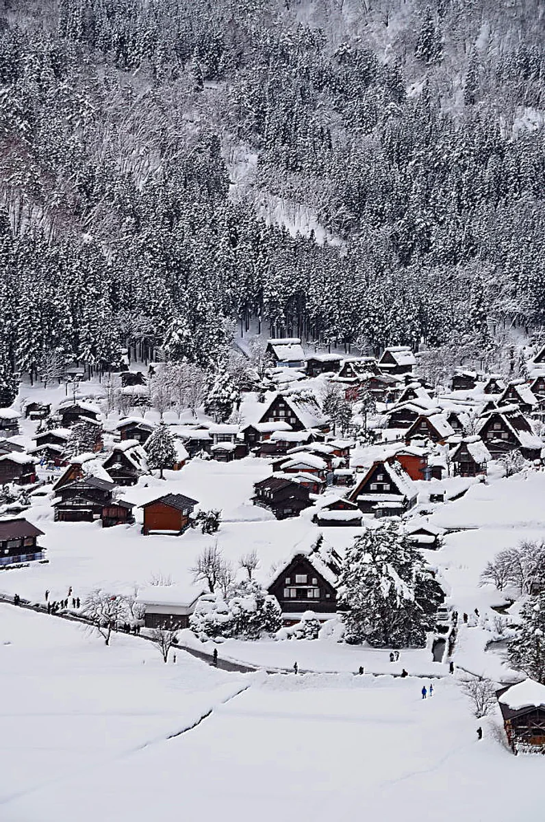 投稿写真：雪の荻町集落
