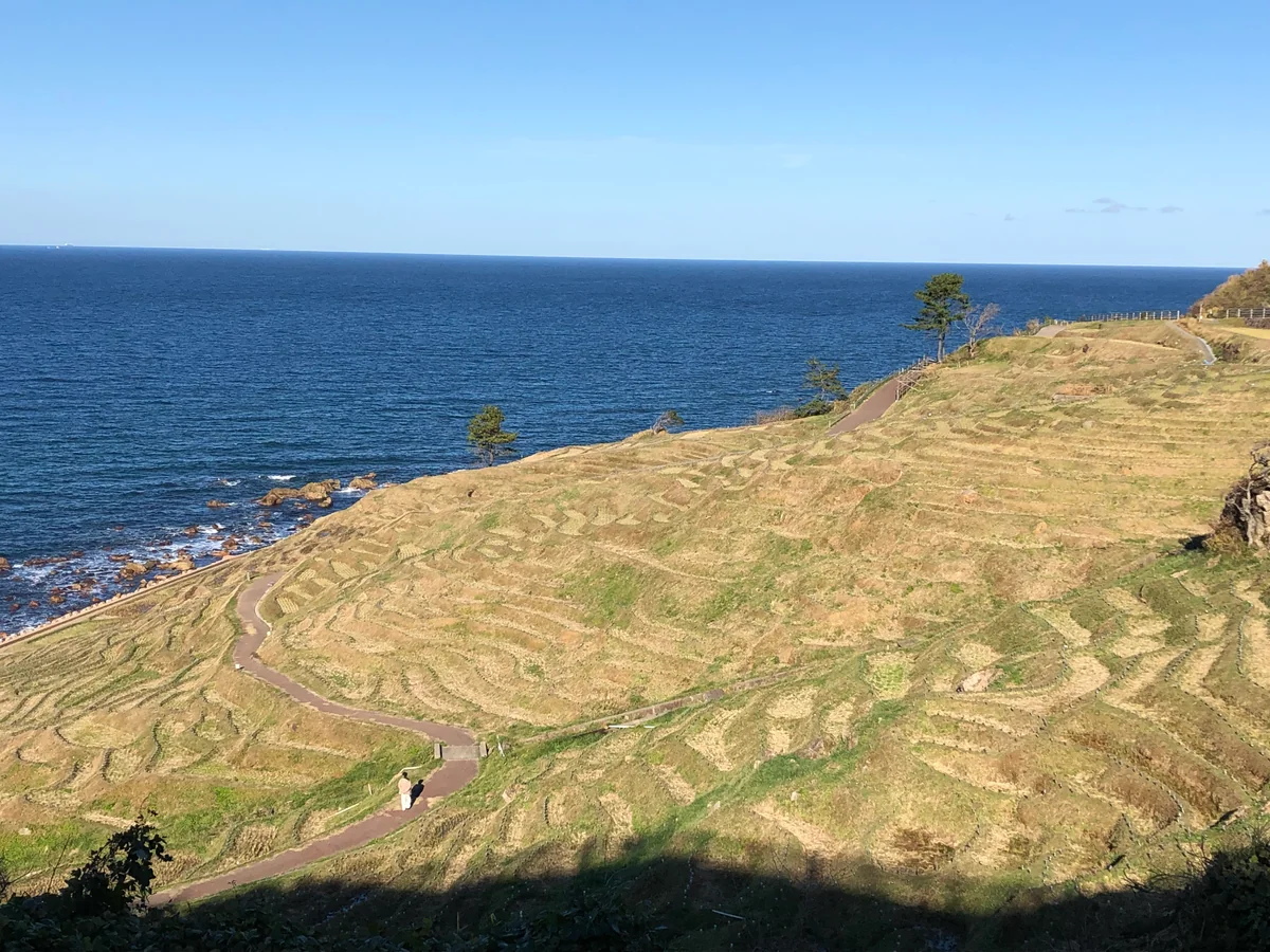 投稿写真：白米千枚田