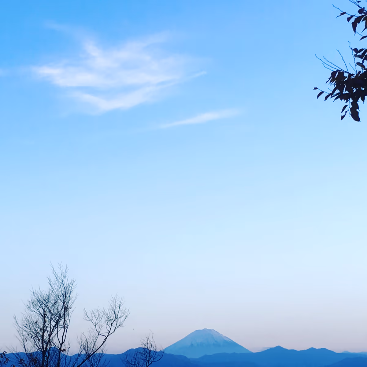 投稿写真：富士山の上に笑う龍の顔