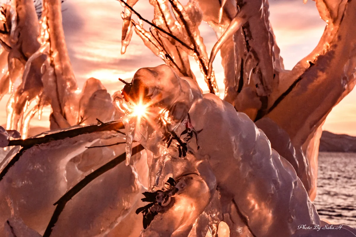 投稿写真：しぶき氷